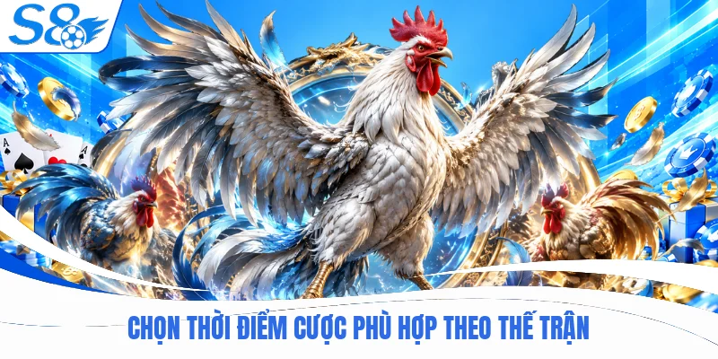 Chọn thời điểm cược phù hợp theo thế trận